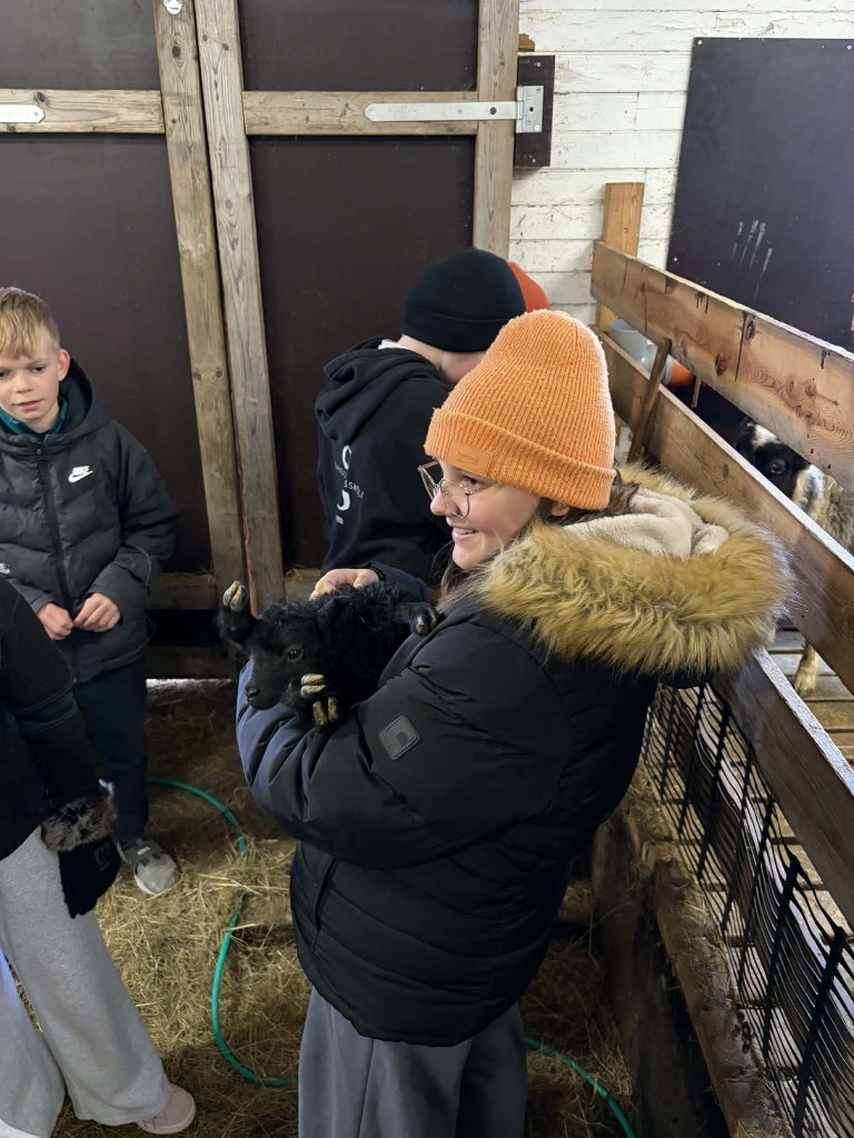 Heimsókn í fjárhúsin, 6. bekkur
