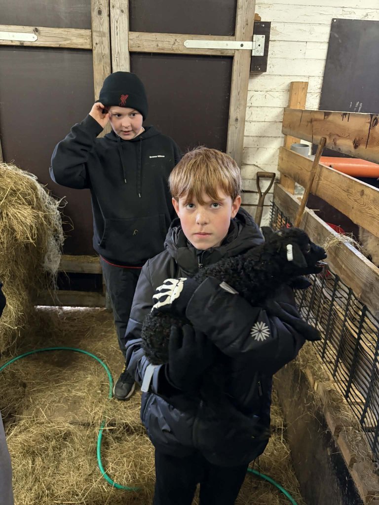 Heimsókn í fjárhúsin, 6. bekkur