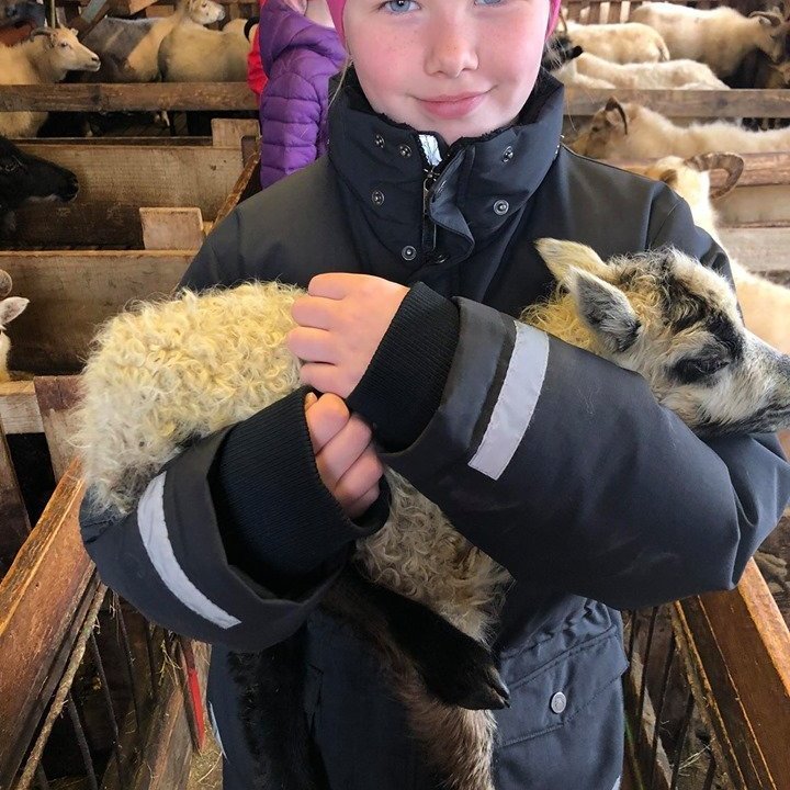 95857798_170090064339739_5336646145458307072_n