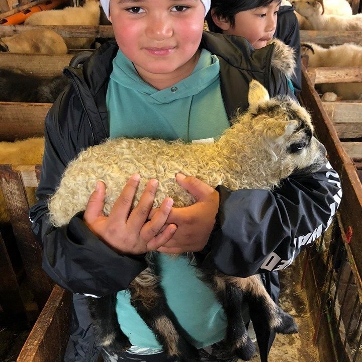 95910806_546134926086264_8134016357466374144_n