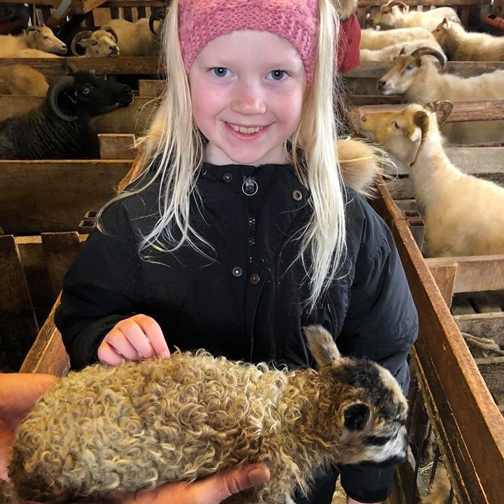 95928825_3091893280878458_247066181226201088_n