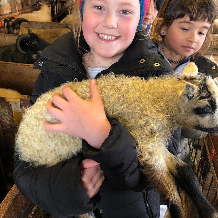 96013791_240191480551764_626940211602915328_n