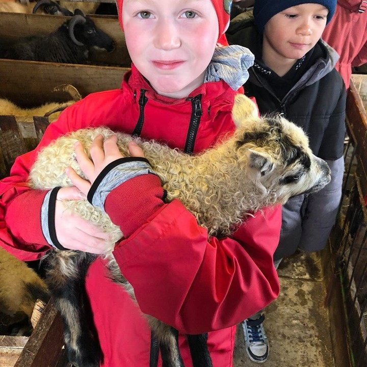 96085096_173364280631115_6196547376061087744_n