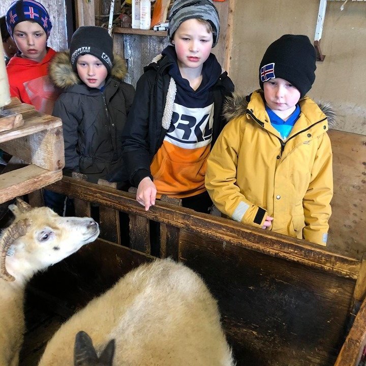 96283719_3283742478327129_8111993319950647296_n