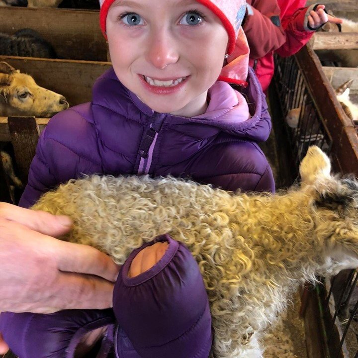 96290300_225187752117067_4931550765744390144_n