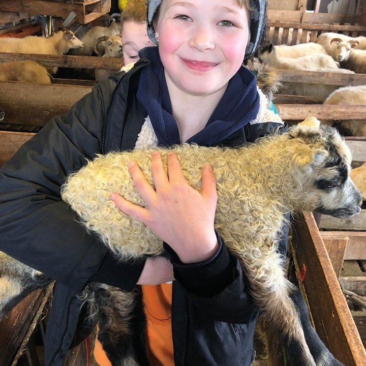 96295962_1407361969434463_9120115160428576768_n