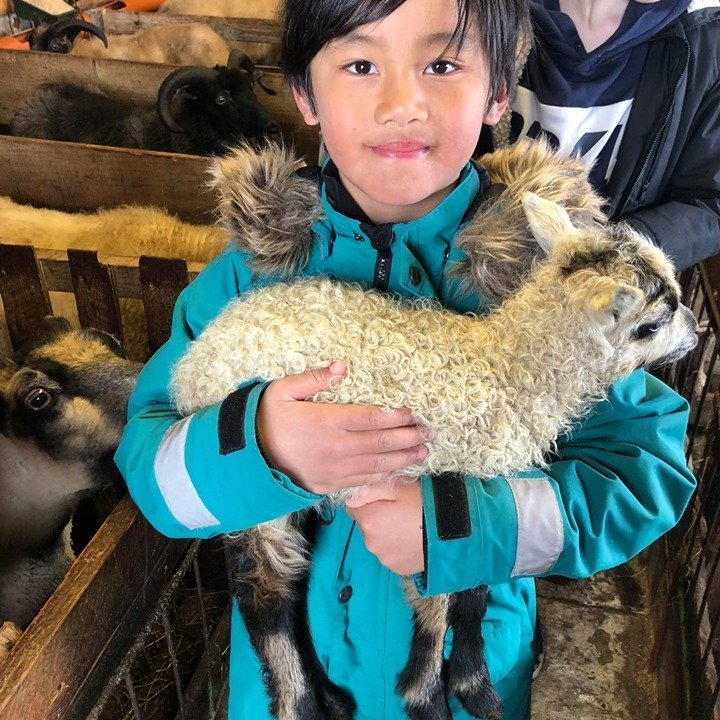 96296337_694763244605770_858751618181496832_n