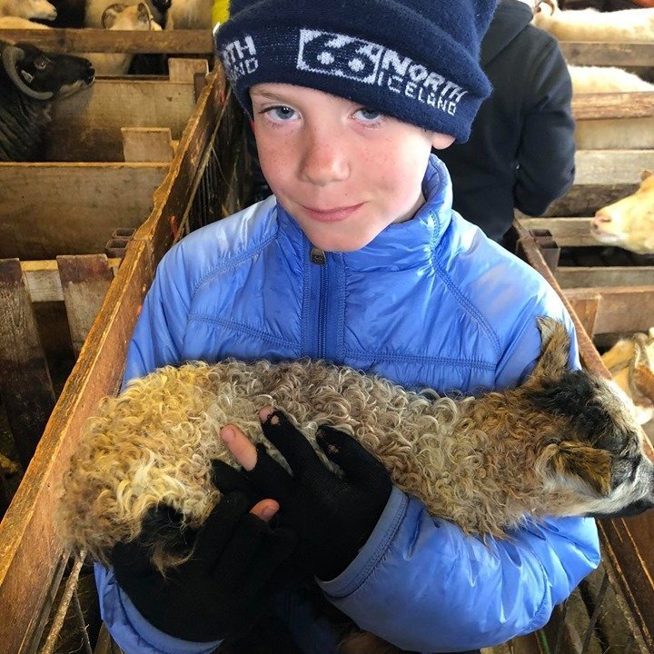 96380862_1629611827192252_1288049542335299584_n