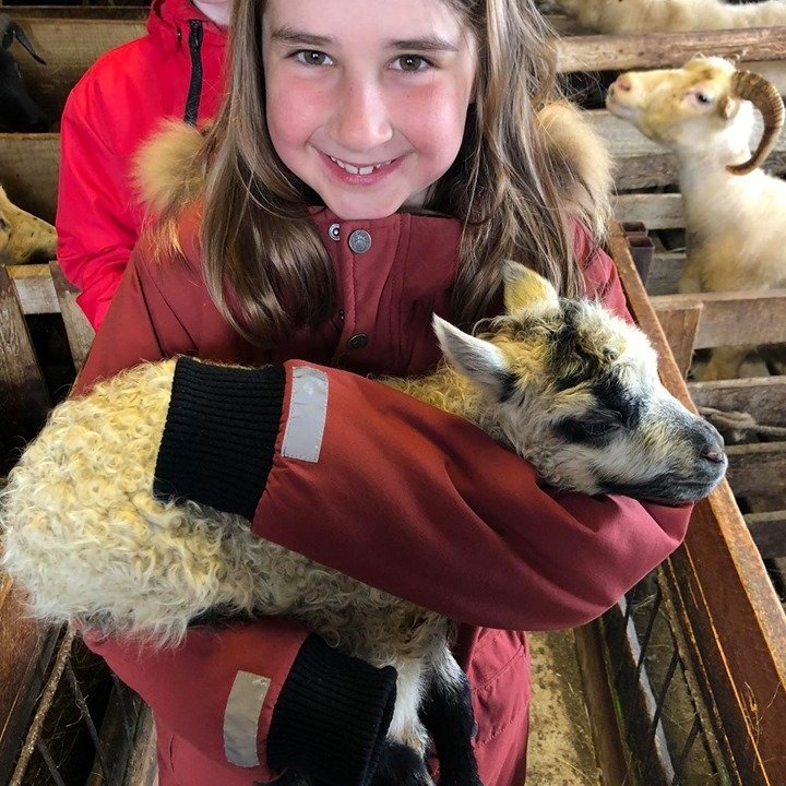 96401991_1645414648944882_7344608064315588608_n