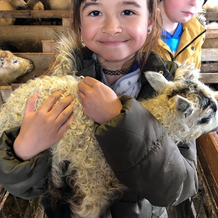 96573390_1257803047945421_2639605162598989824_n