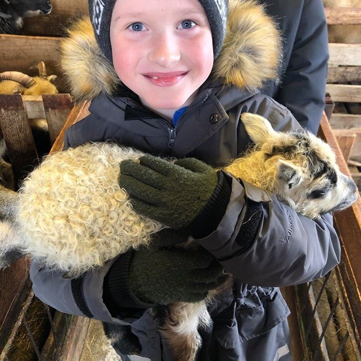 96776801_2282399162055977_6528407632028368896_n