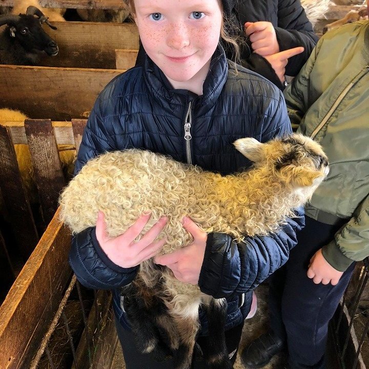 96822259_2681682275432869_5695281949103357952_n