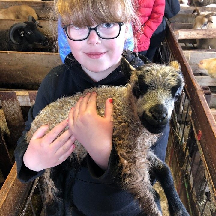 96841362_2624241417812458_977792761413500928_n