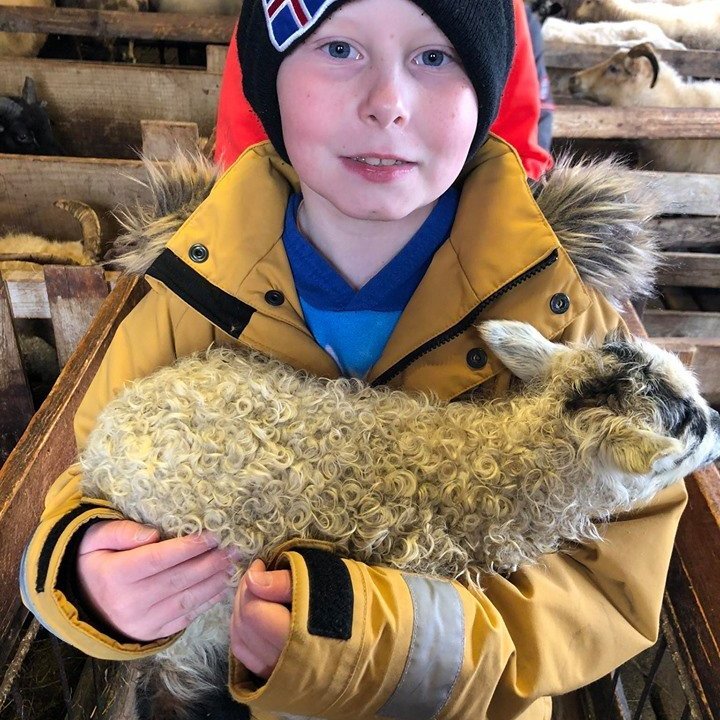 97049411_3301822906517495_8763403399052918784_n