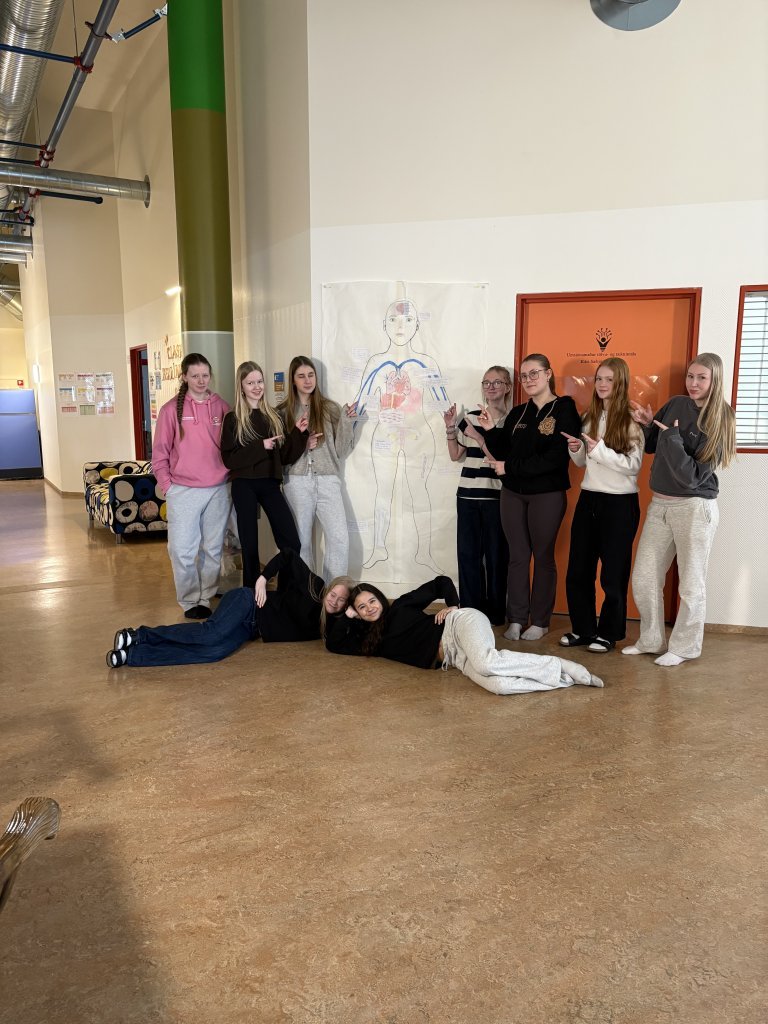 Hönnun mannslíkamans í fullri stærð