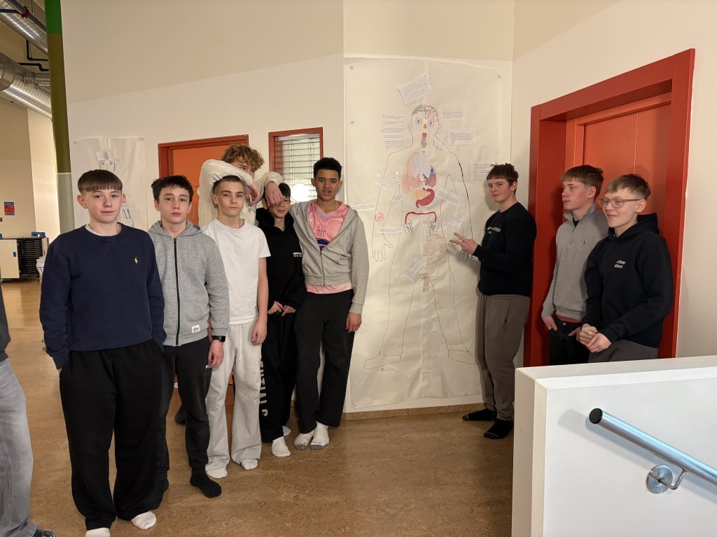 Hönnun mannslíkamans í fullri stærð