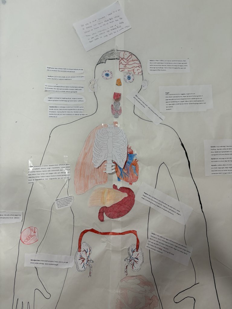 Hönnun mannslíkamans í fullri stærð