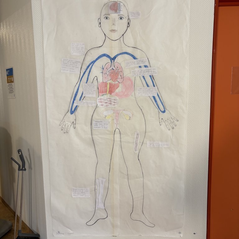 image-20260312-112509-ba54d2ec