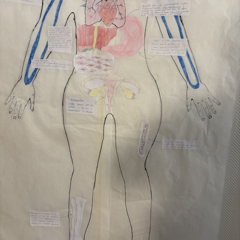 image-20260312-112530-5526320c