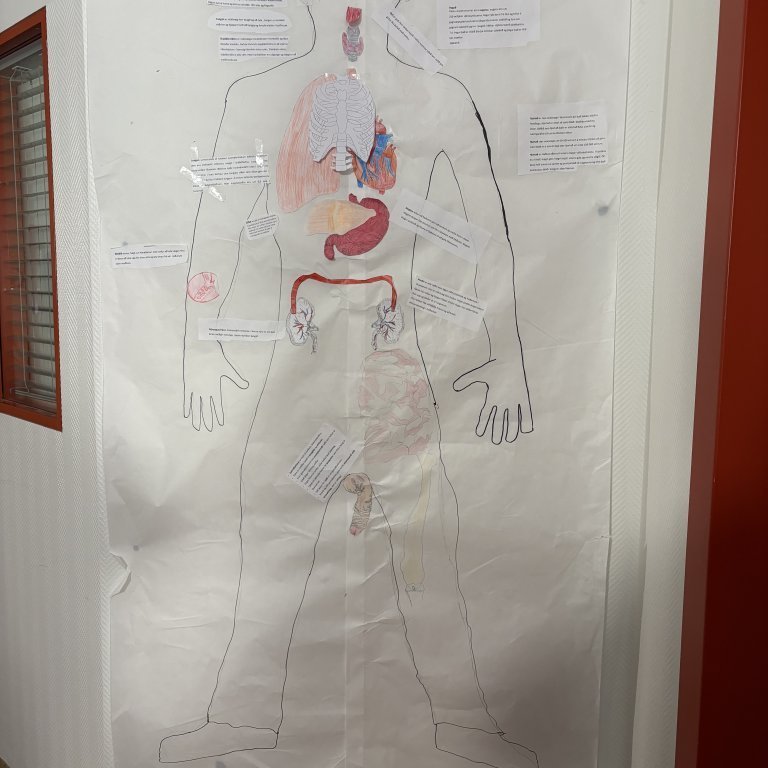 image-20260319-110749-88960cc5