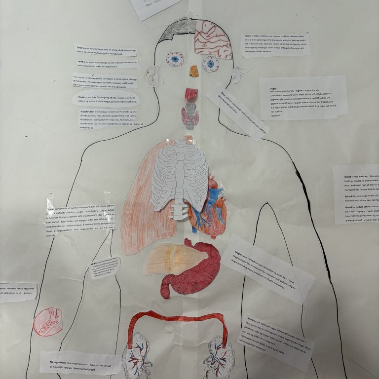 image-20260319-110758-31fecb74