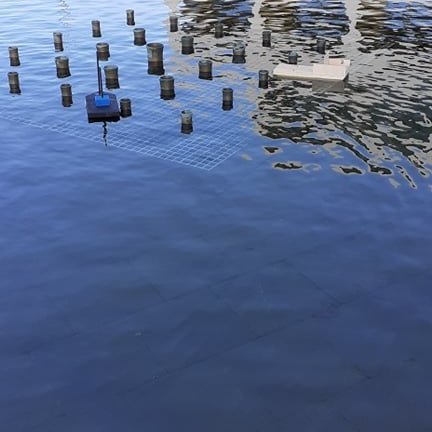 121041276_1042712816149983_9015579955615659151_n