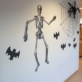 123377667_354733705803970_3636553861093402233_n