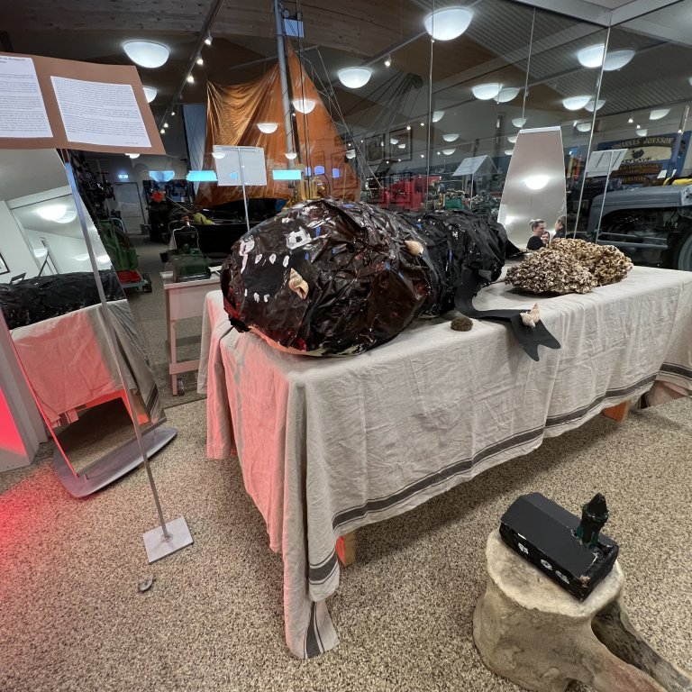 image-20221028-111527-94b702d5