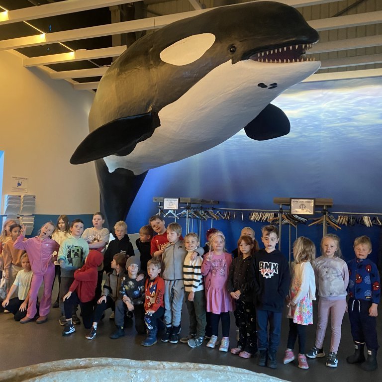 20241017_100218030_ios