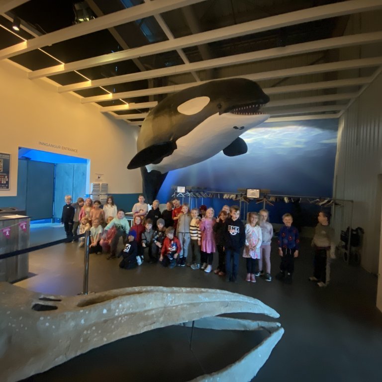 20241017_100233730_ios