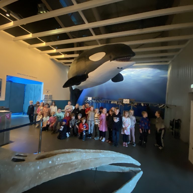 20241017_100234733_ios