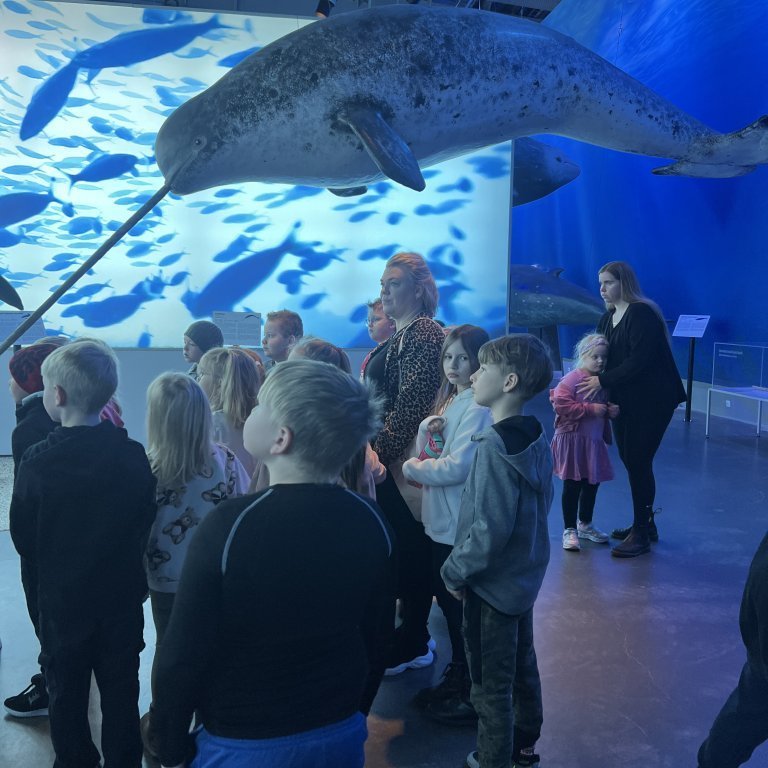 20241017_100629336_ios