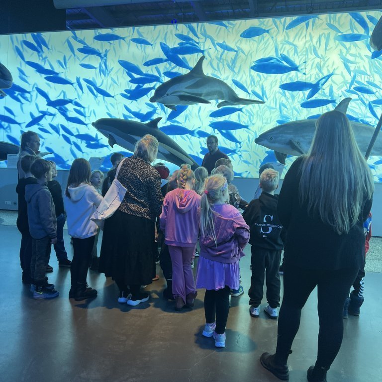 20241017_100643825_ios