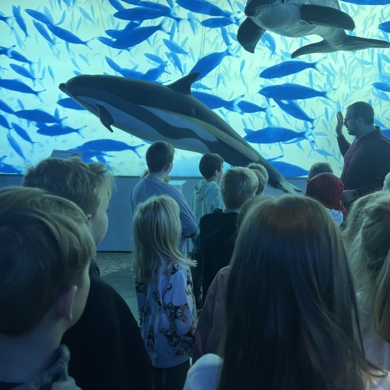 20241017_100653052_ios