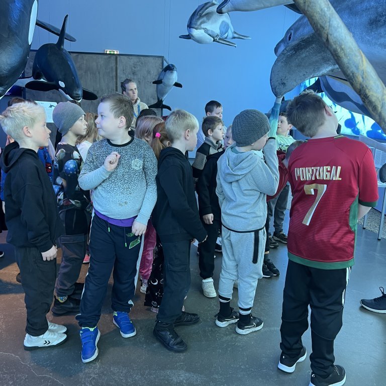 20241017_100708637_ios