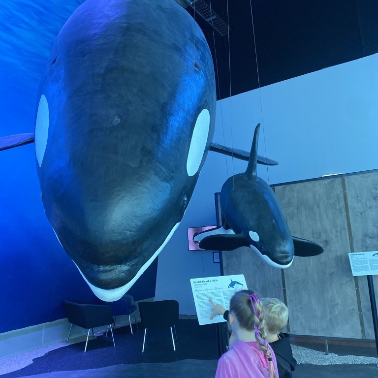 20241017_101209884_ios