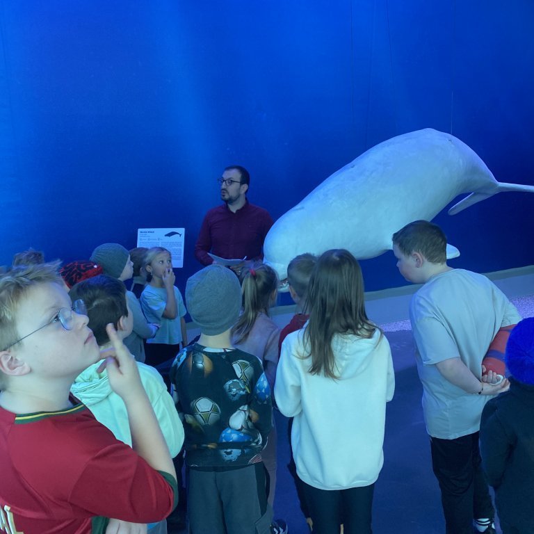 20241017_101215621_ios