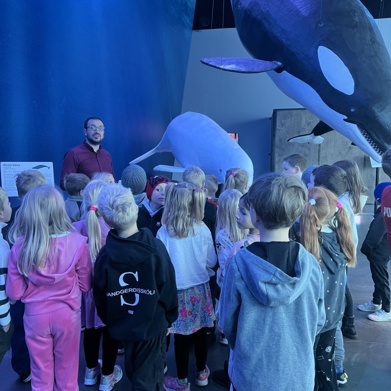 20241017_101218934_ios