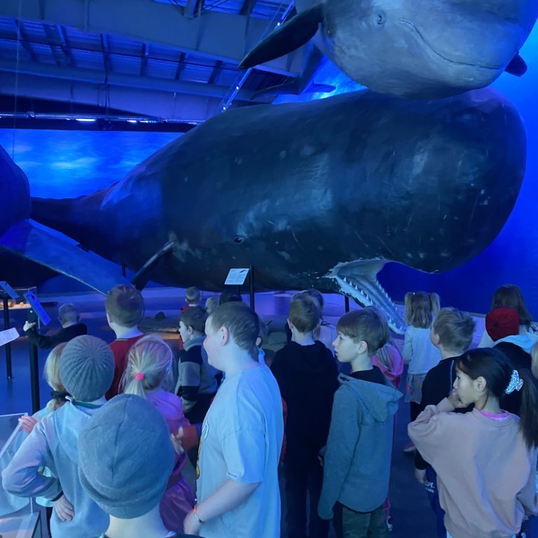 20241017_101343742_ios