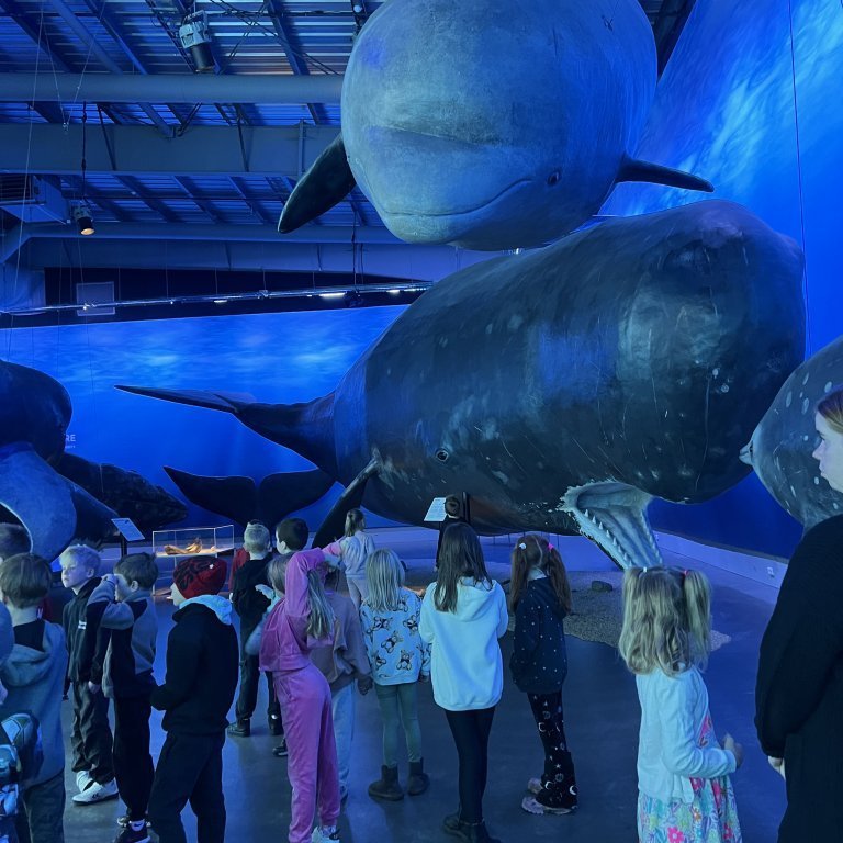 20241017_101403236_ios