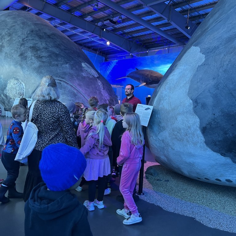 20241017_101855037_ios