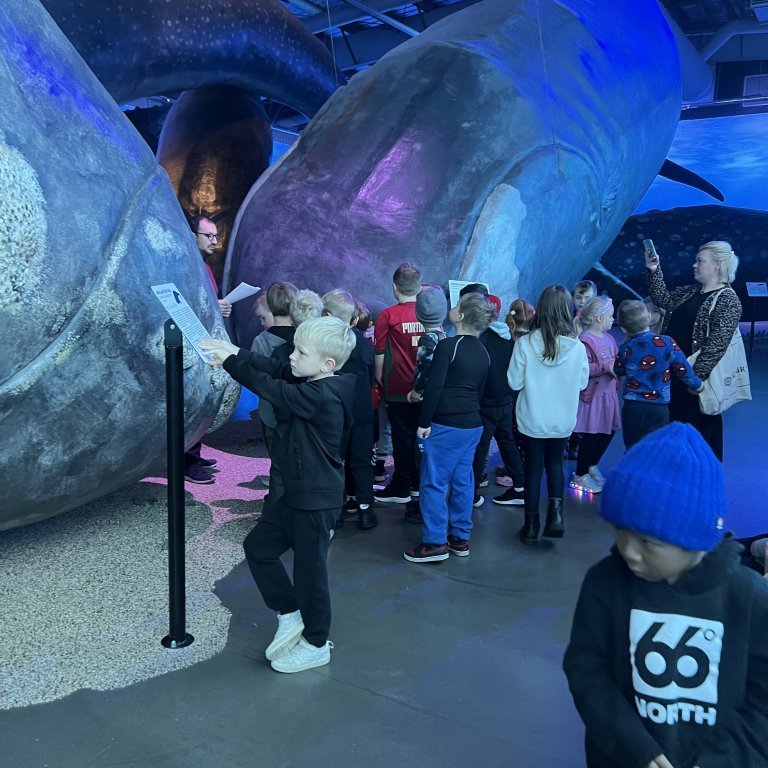 20241017_101913659_ios