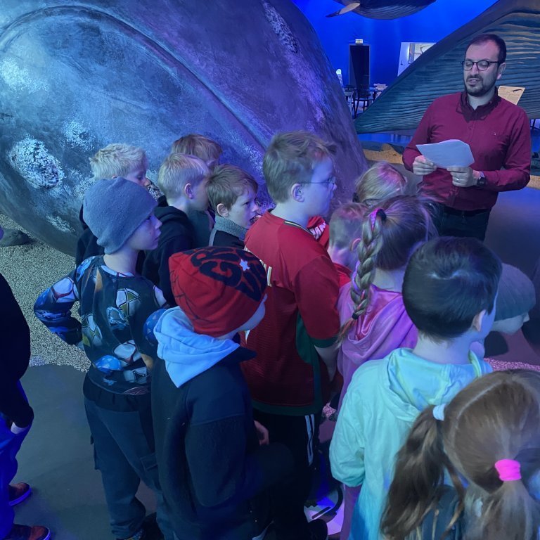 20241017_101914007_ios