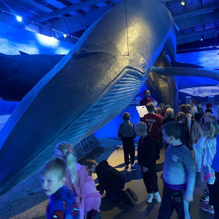 20241017_102113494_ios