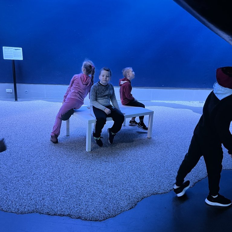 20241017_102316729_ios