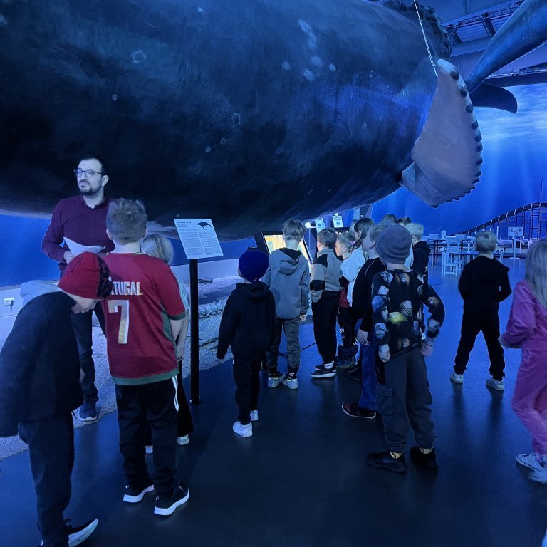 20241017_102321489_ios