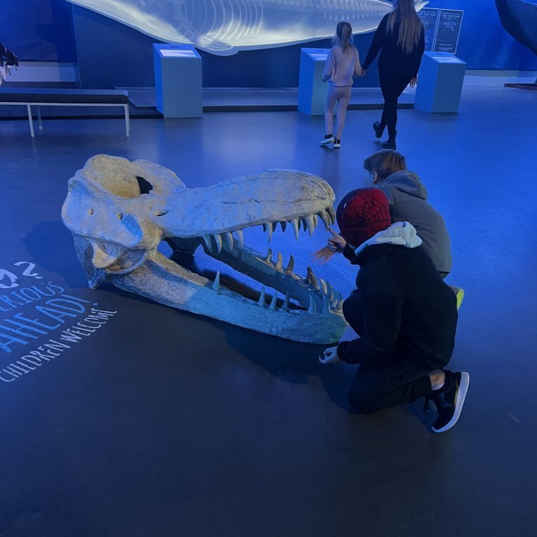 20241017_102524876_ios