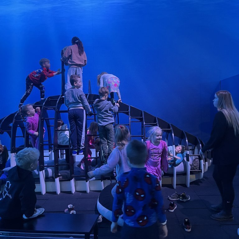 20241017_102643903_ios