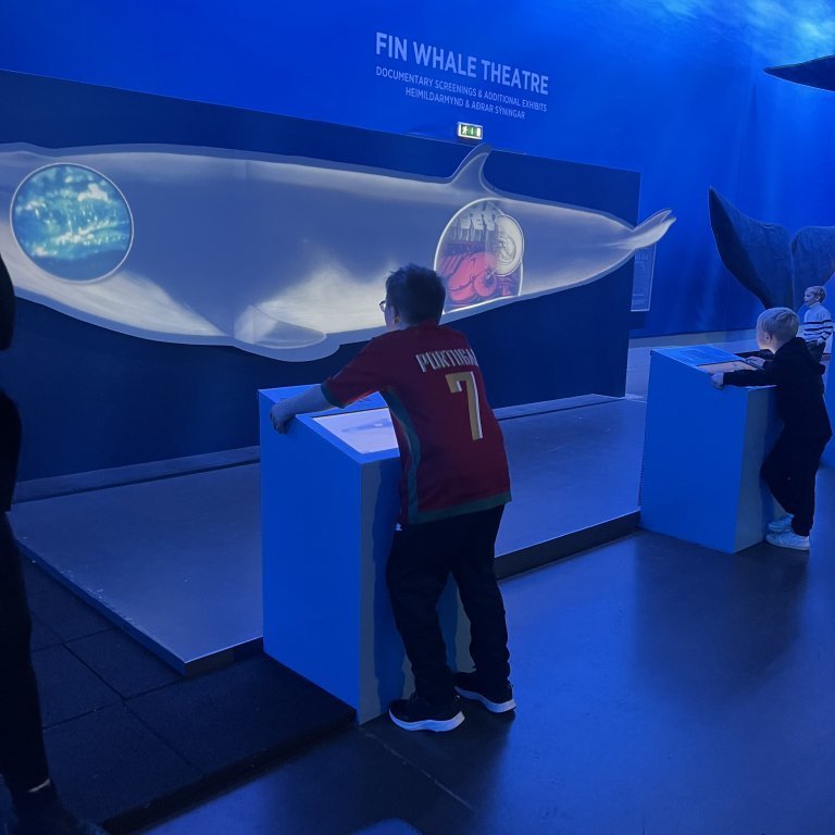 20241017_102650427_ios