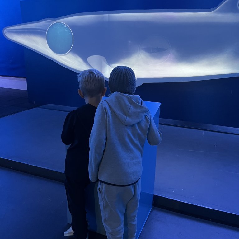 20241017_102707126_ios